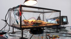 Entomograph videos Entomograph videos